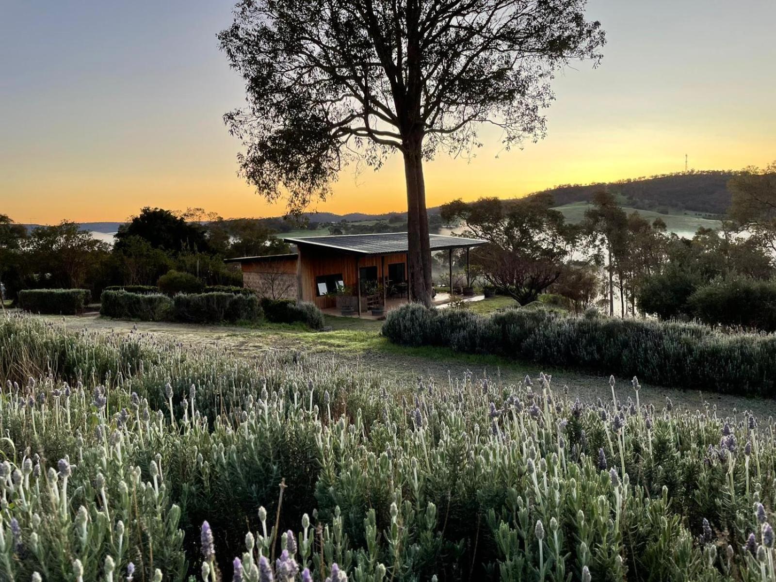 Rosie'S Cottage Bindoon Mooliabeenee Εξωτερικό φωτογραφία